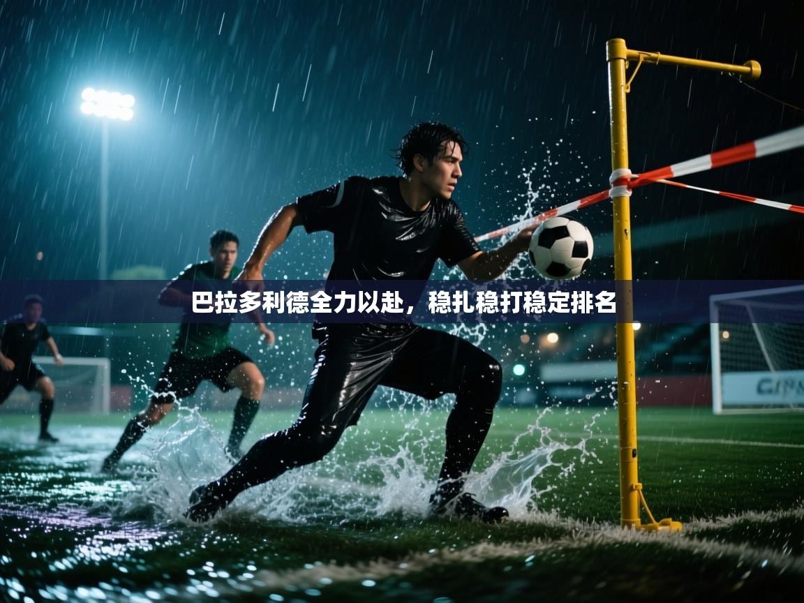 巴拉多利德全力以赴，稳扎稳打稳定排名  第1张
