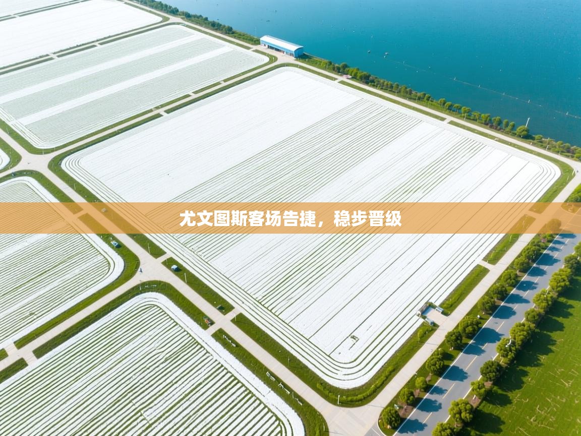 尤文图斯客场告捷，稳步晋级  第2张