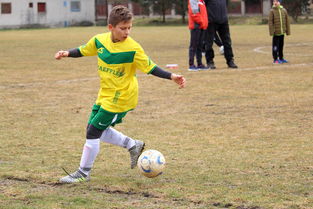 开云体育网站官方入口-斯图加特客场大胜汉堡，继续保持不败纪录，斯图加特对莱比锡比分预测